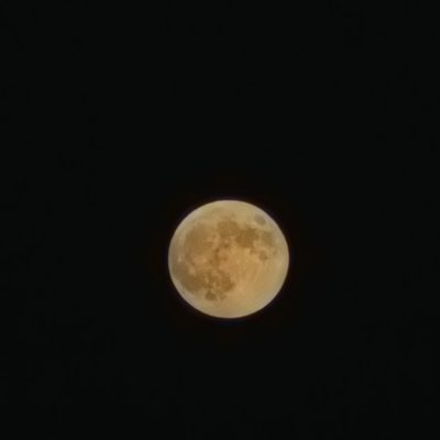 에프페시아 photo review